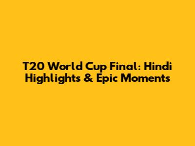 T20 World Cup Final: Hindi Highlights & Epic Moments
