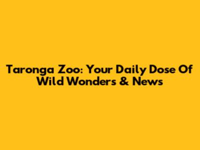 Taronga Zoo: Your Daily Dose Of Wild Wonders & News
