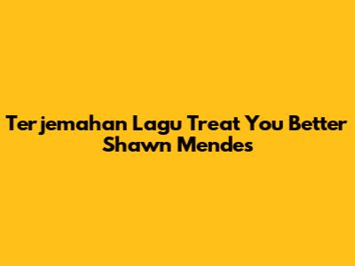 Terjemahan Lagu Treat You Better Shawn Mendes