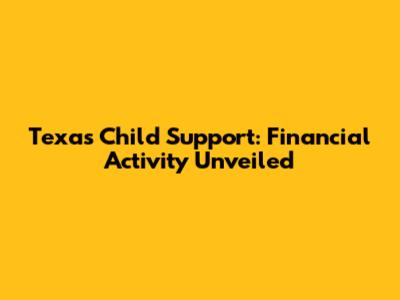 Texas Child Support: Financial Activity Unveiled