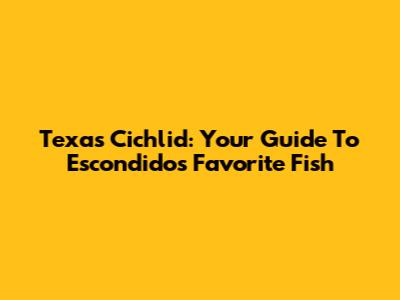 Texas Cichlid: Your Guide To Escondido's Favorite Fish
