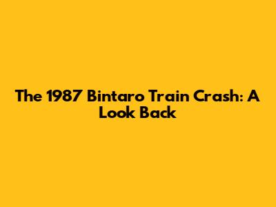 The 1987 Bintaro Train Crash: A Look Back
