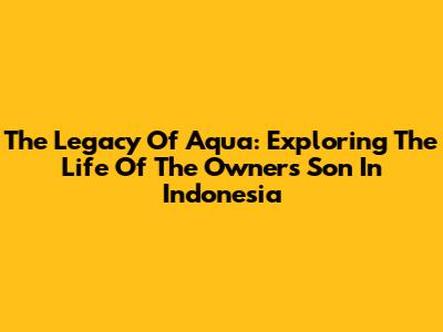 The Legacy Of Aqua: Exploring The Life Of The Owner's Son In Indonesia