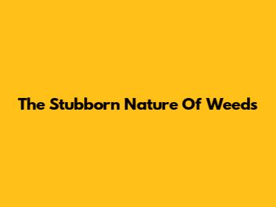 The Stubborn Nature Of Weeds