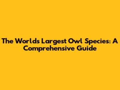 The World's Largest Owl Species: A Comprehensive Guide