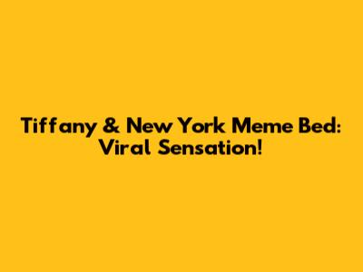 Tiffany & New York Meme Bed: Viral Sensation!