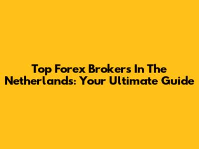 Top Forex Brokers In The Netherlands: Your Ultimate Guide
