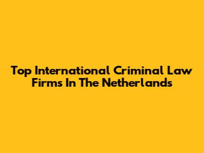 Top International Criminal Law Firms In The Netherlands