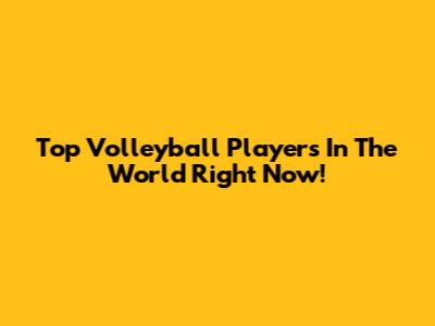 Top Volleyball Players In The World Right Now!