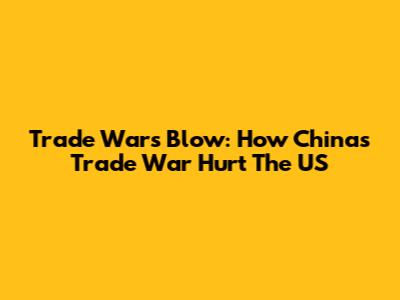 Trade War's Blow: How China's Trade War Hurt The US