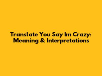 Translate 'You Say I'm Crazy': Meaning & Interpretations