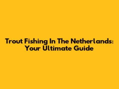 Trout Fishing In The Netherlands: Your Ultimate Guide