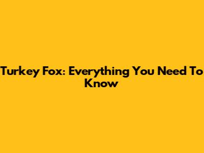 Turkey Fox: Everything You Need To Know