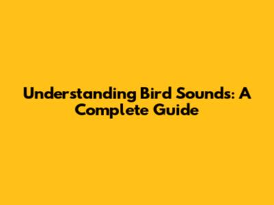 Understanding Bird Sounds: A Complete Guide