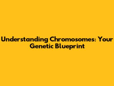 Understanding Chromosomes: Your Genetic Blueprint