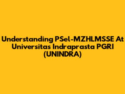 Understanding PSel-MZHLMSSE At Universitas Indraprasta PGRI (UNINDRA)