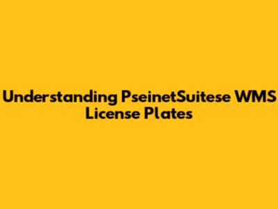 Understanding PseinetSuitese WMS License Plates
