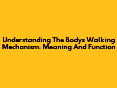 Understanding The Body's Walking Mechanism: Meaning And Function