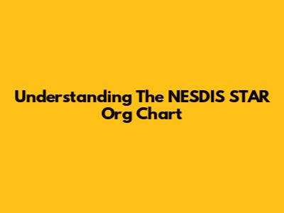 Understanding The NESDIS STAR Org Chart