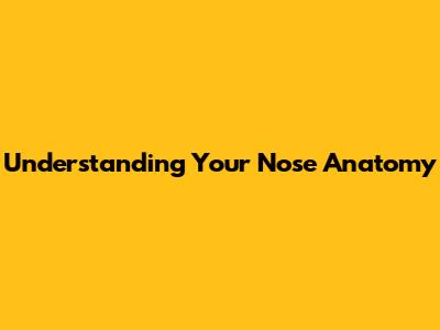 Understanding Your Nose Anatomy