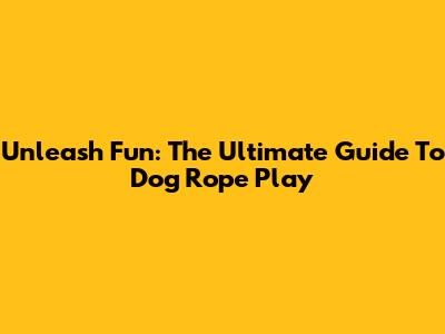 Unleash Fun: The Ultimate Guide To Dog Rope Play