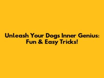 Unleash Your Dog's Inner Genius: Fun & Easy Tricks!