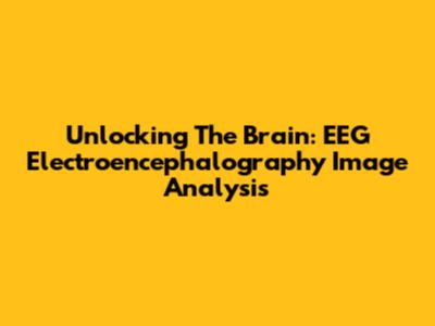 Unlocking The Brain: EEG Electroencephalography Image Analysis