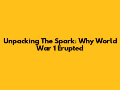 Unpacking The Spark: Why World War 1 Erupted