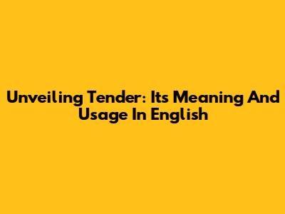 Unveiling 'Tender': Its Meaning And Usage In English