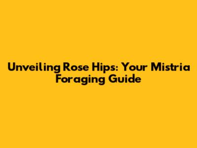 Unveiling Rose Hips: Your Mistria Foraging Guide