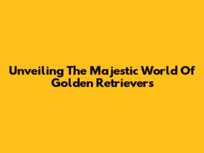 Unveiling The Majestic World Of Golden Retrievers