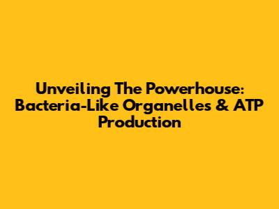 Unveiling The Powerhouse: Bacteria-Like Organelles & ATP Production