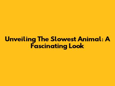 Unveiling The Slowest Animal: A Fascinating Look
