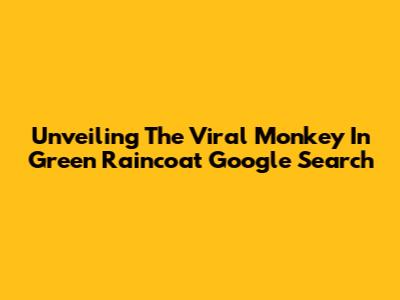 Unveiling The Viral 'Monkey In Green Raincoat' Google Search