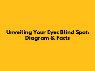 Unveiling Your Eye's Blind Spot: Diagram & Facts