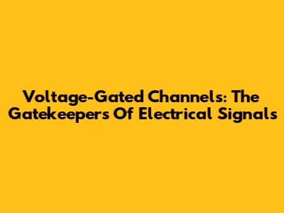 Voltage-Gated Channels: The Gatekeepers Of Electrical Signals