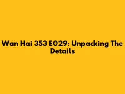 Wan Hai 353 E029: Unpacking The Details