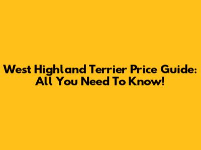 West Highland Terrier Price Guide: All You Need To Know!