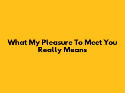 What 'My Pleasure To Meet You' Really Means
