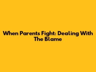 When Parents Fight: Dealing With The Blame