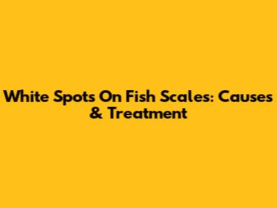 White Spots On Fish Scales: Causes & Treatment