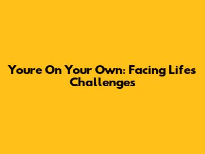 You're On Your Own: Facing Life's Challenges
