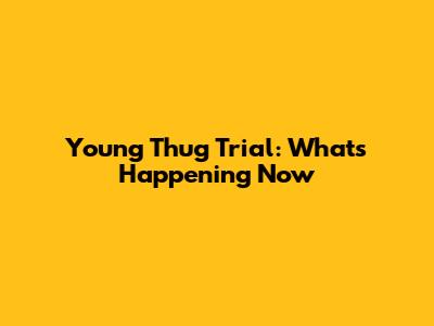 Young Thug Trial: What's Happening Now