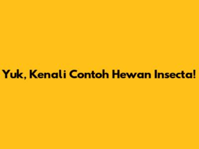 Yuk, Kenali Contoh Hewan Insecta!