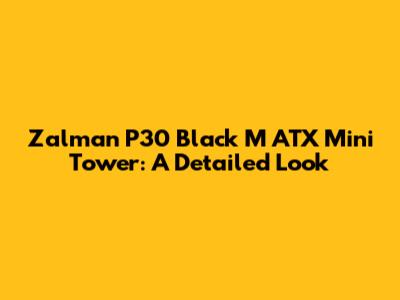 Zalman P30 Black M ATX Mini Tower: A Detailed Look