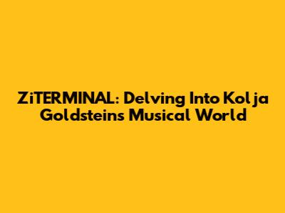 ZiTERMINAL: Delving Into Kolja Goldstein's Musical World